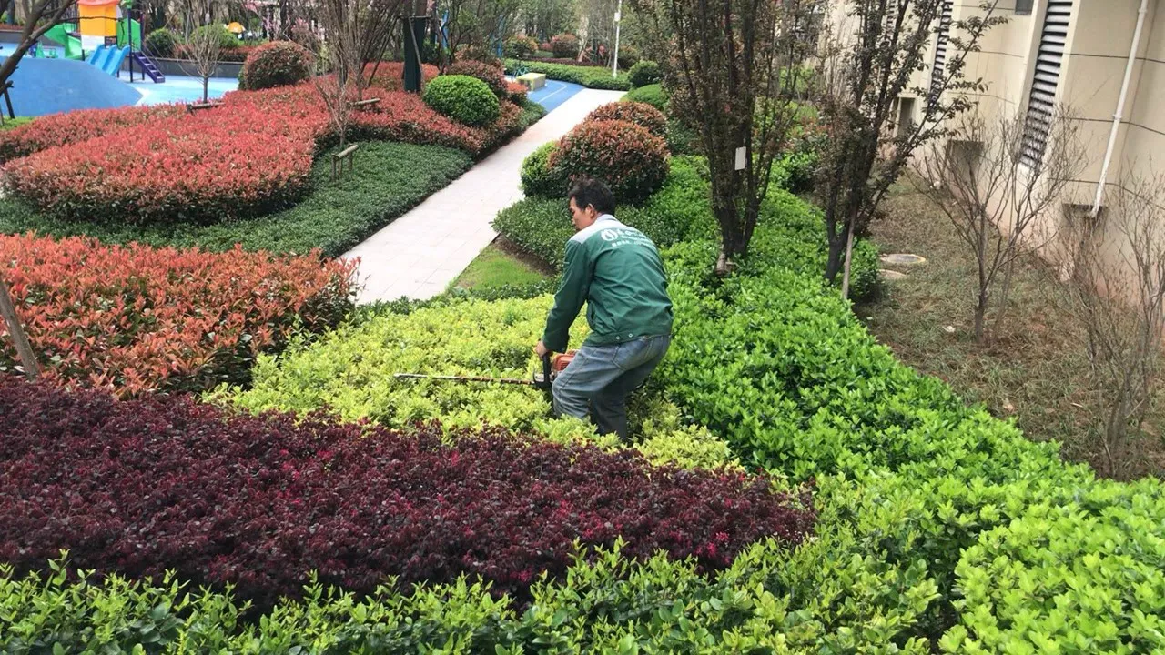 青椒肉丝